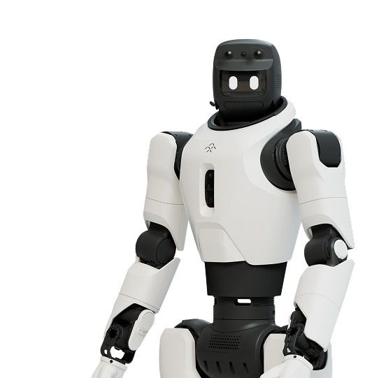 FF Master humanoid